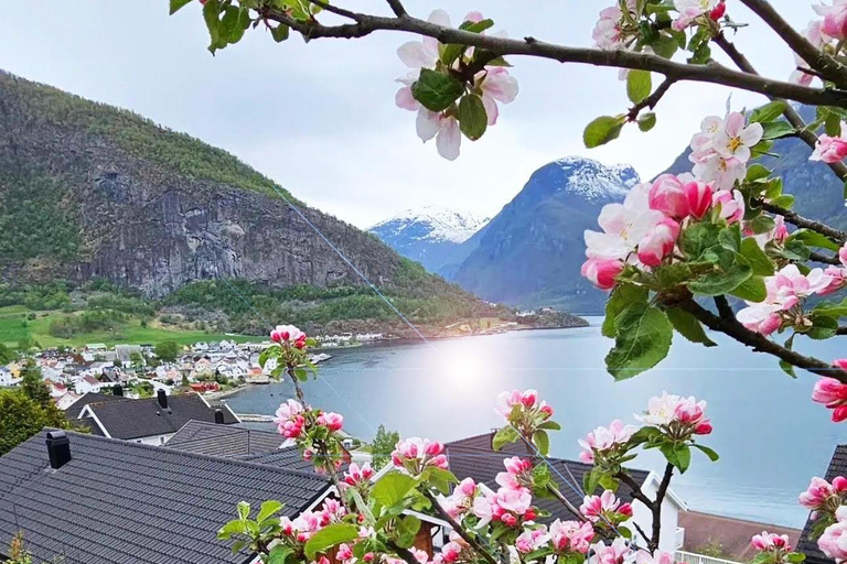 Tour guidato privato - Crociera sul Nærøyfjord e ferrovia di Flåm