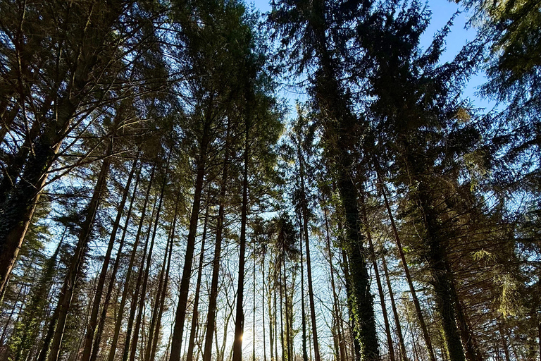 Luxembourg: Winter Hike, Ice Bath, and Grund Tour