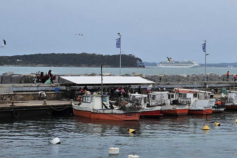 City Tour em Punta del Este: Uma aventura inesquecível de caça ao tesouro!