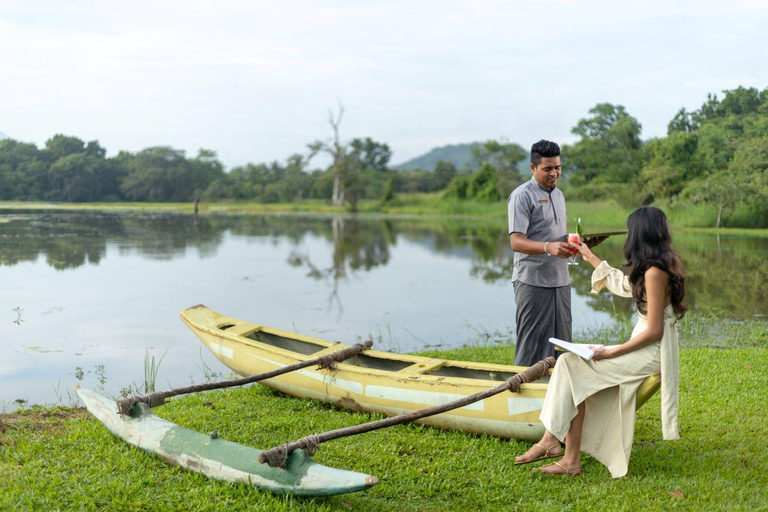 Sigiriya, Tea Plucking & Waterfalls visit 3Days Private tour Colombo : Sigiriya ,Kandy & Waterfall ,Tea factory Visit