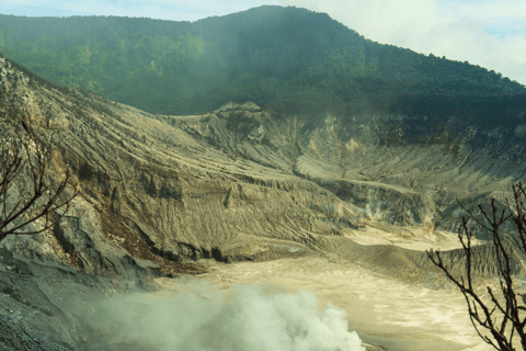 Jakarta: Tangkuban Perahu Volcano & Tea Plantations Day-Tour