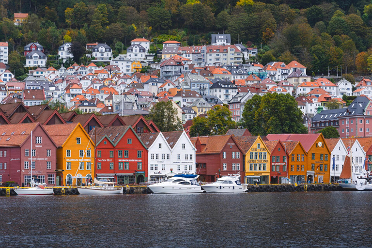 From Bergen: Day Trip with Flam Railway and Fjord Cruise