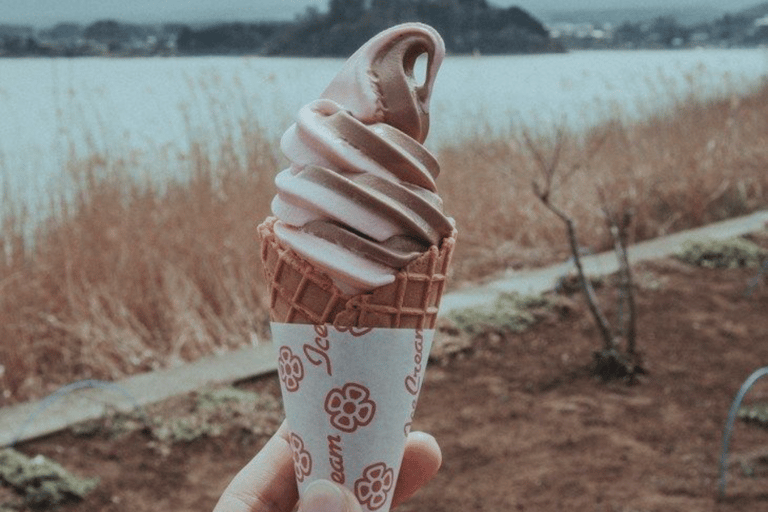 From Tokyo: Mount Fuji Full Day Customizable Private Tour