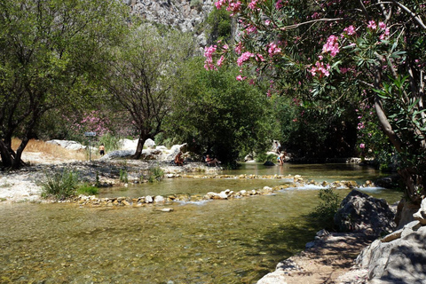 From Albir or Benidorm: Algar Waterfalls Day Trip From Benidorm with Gran Hotel Bali Meeting Point