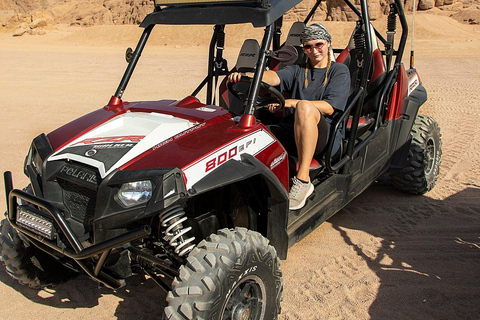 Sharm El Sheikh: Desert Safari By Polaris Buggy &Family Tour