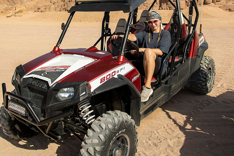 Sharm El Sheikh: Desert Safari By Polaris Buggy &Family Tour