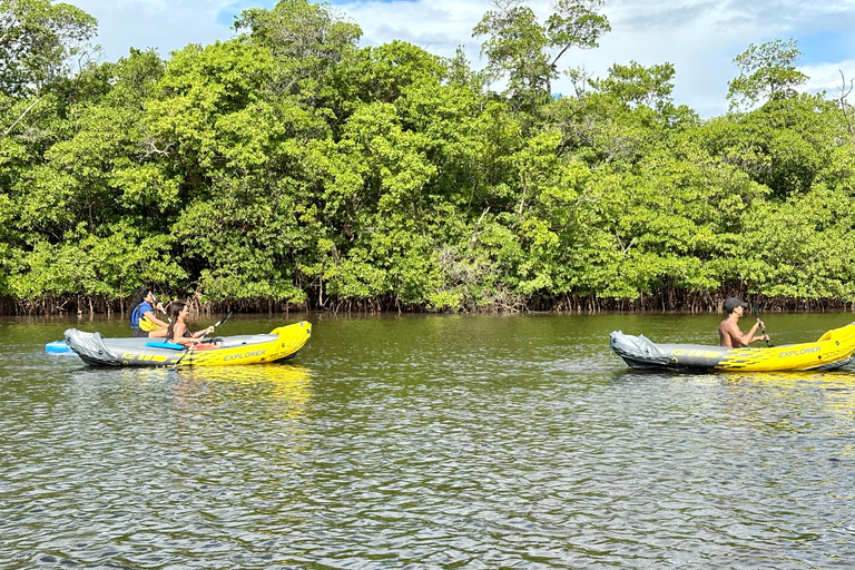 Fort Lauderdale: Kayak & Paddleboard Mangroves Eco Adventure