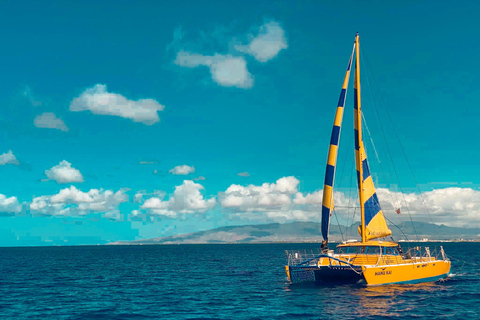Honolulu: Catamaran Swim, Snorkel, and Sail with Drinks 2 Hour Snorkel, Swim & Sail