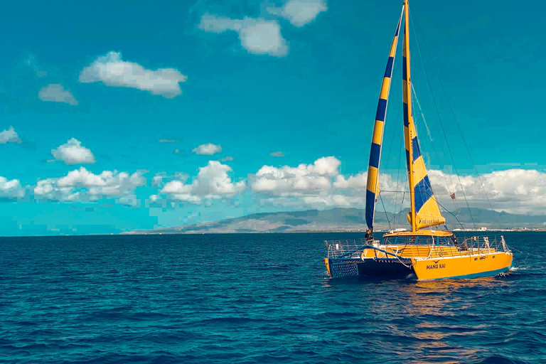 Honolulu: Catamaran Swim, Snorkel, and Sail with Drinks 2 Hour Snorkel, Swim & Sail