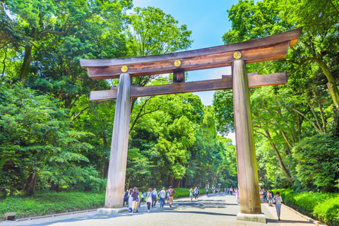 Visite privée de Tokyo avec chauffeur parlant anglais