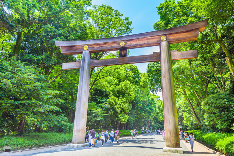 Tour panoramico privato di Tokyo con autista parlante inglese