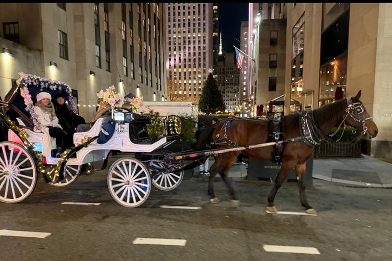 NYC: Central Park Christmas Lights Horse-Drawn Carriage Ride