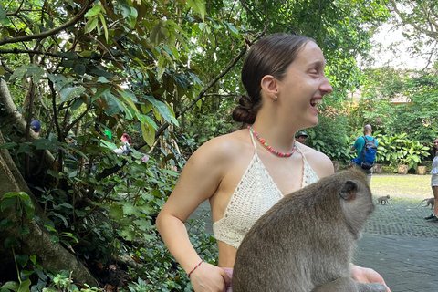 Bali: Batuan temple, Monkey Forest, Kato Lampo waterfall