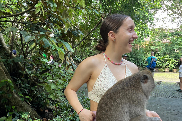 Bali: Batuan temple, Monkey Forest, Kato Lampo waterfall