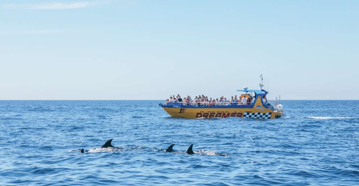 Albufeira: Passeio de Barco c/ Golfinhos e Grutas Marinhas