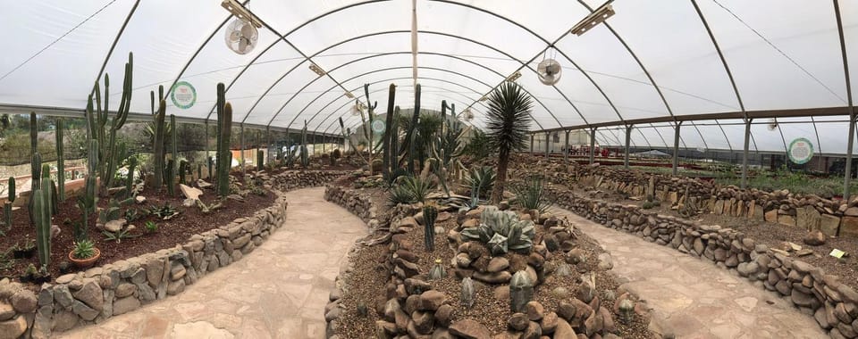 Monterrey, Desert Museum Tour - Hizvo