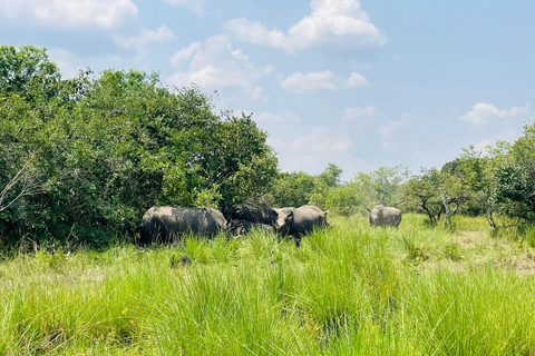 Uganda: Zziwa Rhino Tracking and Wildlife Day Adventure
