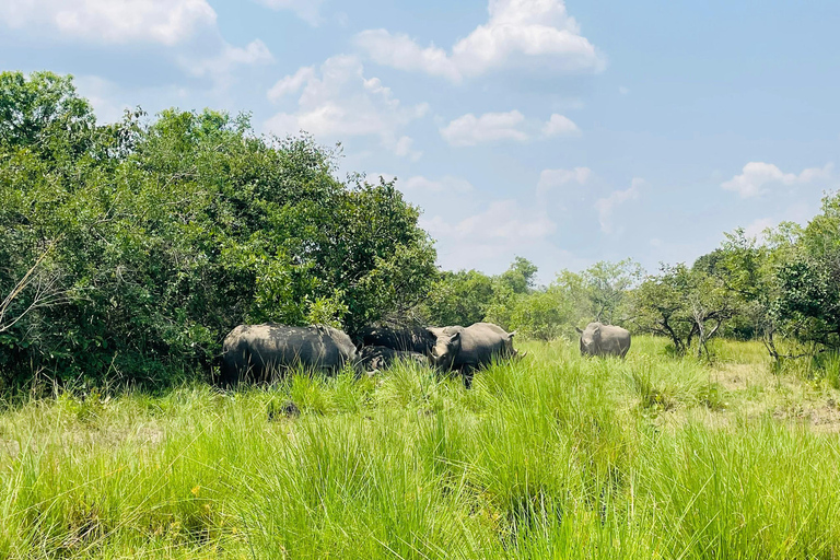 Uganda: Zziwa Rhino Tracking and Wildlife Day Adventure
