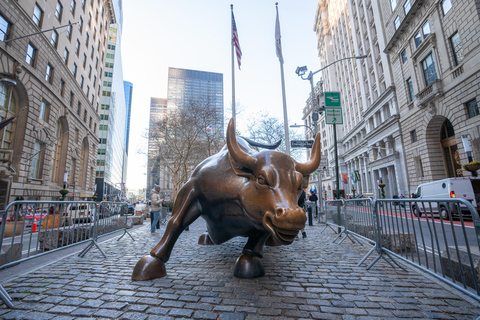 Tour Alto y Bajo Manhattan