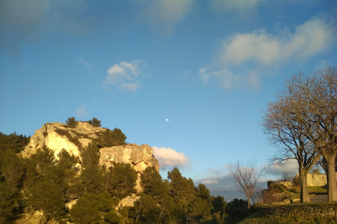 Baux et Saint Rémy de Provence : Histoire, vins et paysagesVisite d'une demi-journée 6h aux Baux de Provence