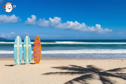Da Nang My Khe Beach Surfing Tour - Image 2