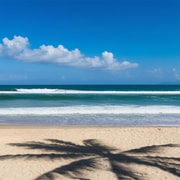 Da Nang My Khe Beach Surfing Tour