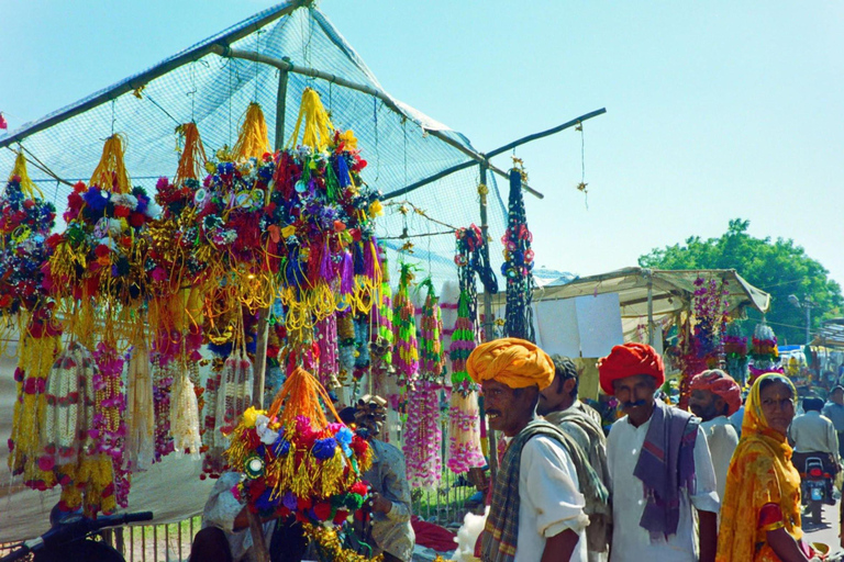 Jaipur's Artisan's Trail: A Walking Tour with Local Artisans