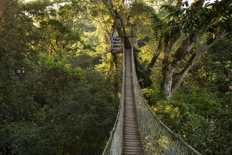 Excursion in the Madre de Dios-Inkaterra Amazon Reserve