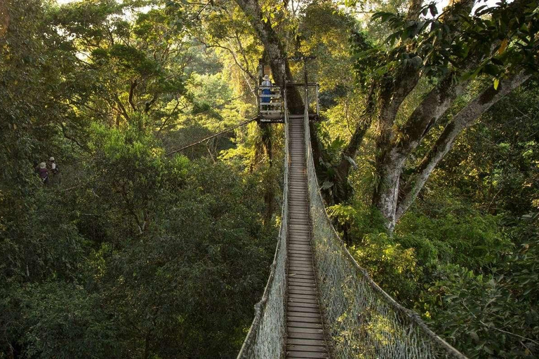 Excursion in the Madre de Dios-Inkaterra Amazon Reserve