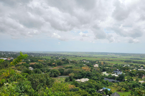 Barbados: Privat naturskön guidad tur