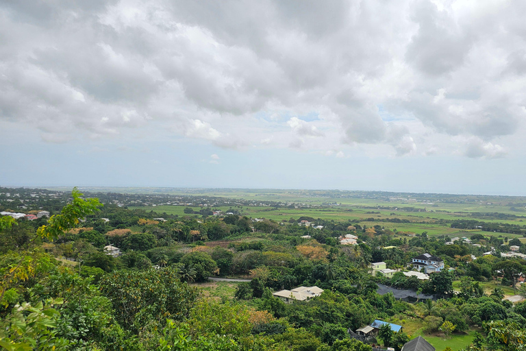 Barbados: Prywatna widokowa wycieczka z przewodnikiem