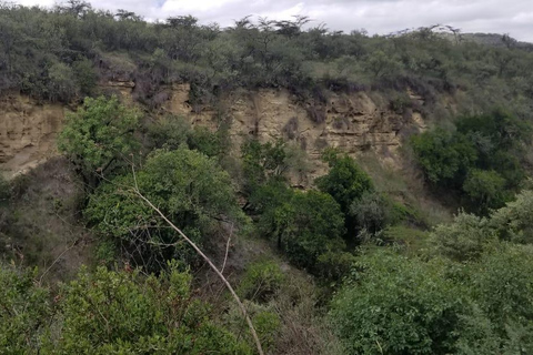 Nairobi: Dagsutflykt till Hell&#039;s Gate och Crescent Island med lunch