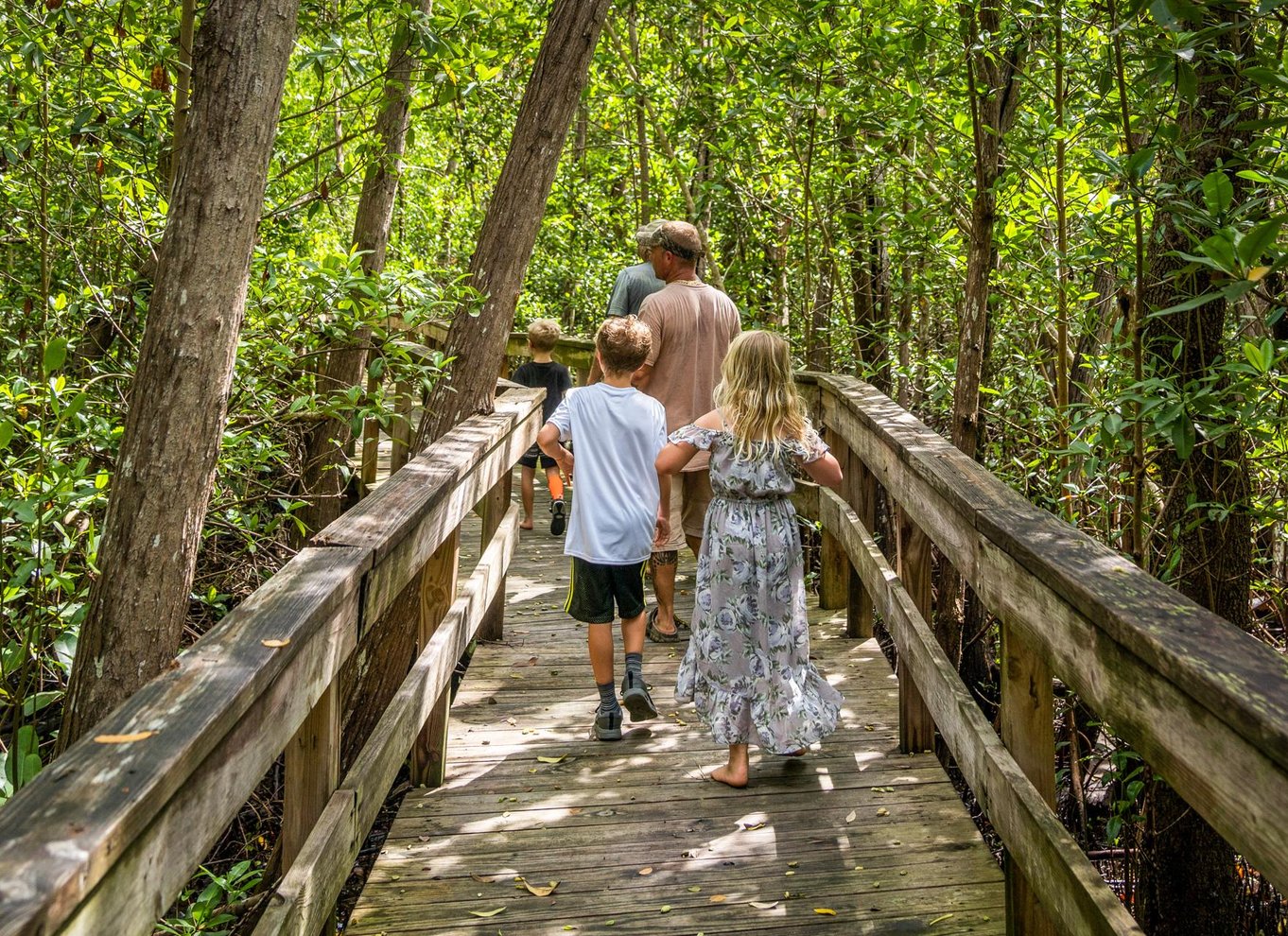 Everglades: Mangrove Maze Airboat Tour og Boardwalk