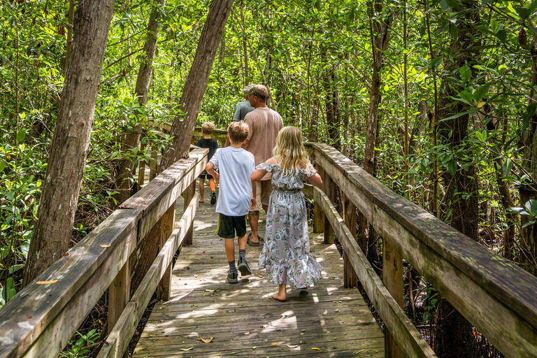 Everglades: Mangrove Maze Airboat Tour and Boardwalk Everglades: Airboat Tour, Buggy Tour, and Boardwalk