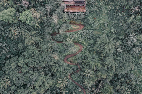 ATV Bali Gorilla Cave with Lunch at Cretya Sunset Single without transfers