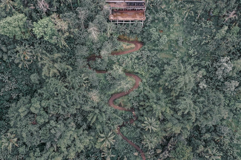 ATV Bali Gorilla Cave with Lunch at Cretya Sunset Single without transfers