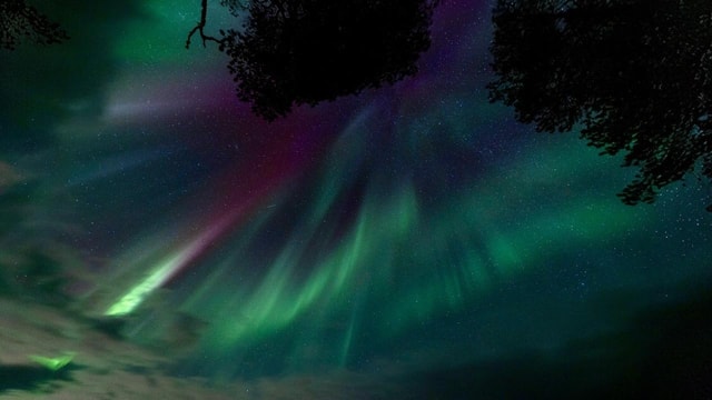 Inari/Ivalo: op jacht naar het noorderlicht met de auto, met warme drankjes