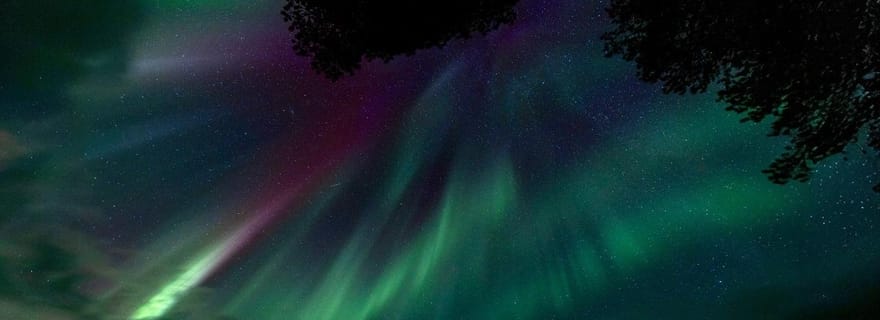 Inari/Ivalo : chasse aux aurores en voiture avec boissons chaudes