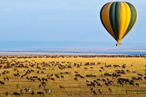 Tanzania: Escapada de luna de miel de 10 días al Serengeti y Zanzíbar