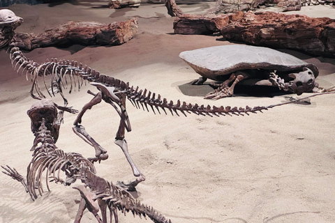 Badlands Tour: Drumheller with Museum, Hoodoos & Dinosaurs Booking Option for Summer 2026