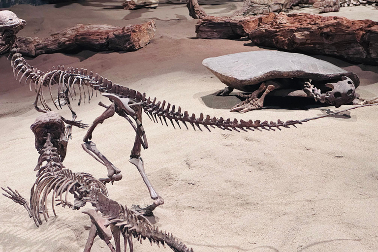 Badlands Tour: Drumheller with Museum, Hoodoos & Dinosaurs Booking Option for Summer 2026