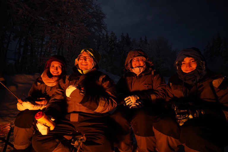 Tromsø: Northern Lights Tour – Unlimited Chase & Free Photos 6-8 Hours, Aurora chase, Comfortable bus, Photos included