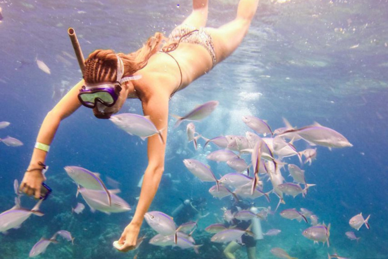 From Punta Cana: Catalina Island Snorkeling & Beach