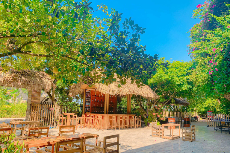 From Hanoi: Private Tour Ninh Binh Hoa Lu Trang An Mua Cave Private Tour Guide, Private Transfer and Flexible Time