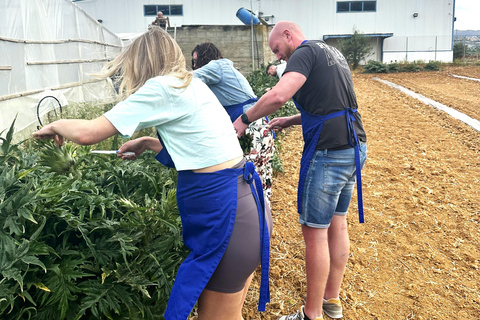 Moires: Cooking Class and Olive Oil Tasting at a Family Farm