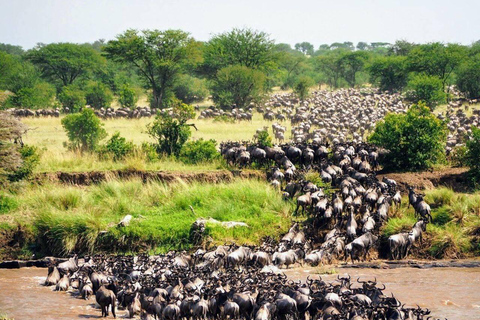 Nairobi: Safari economico di 2 giorni nel Masai Mara con visita ai villaggi