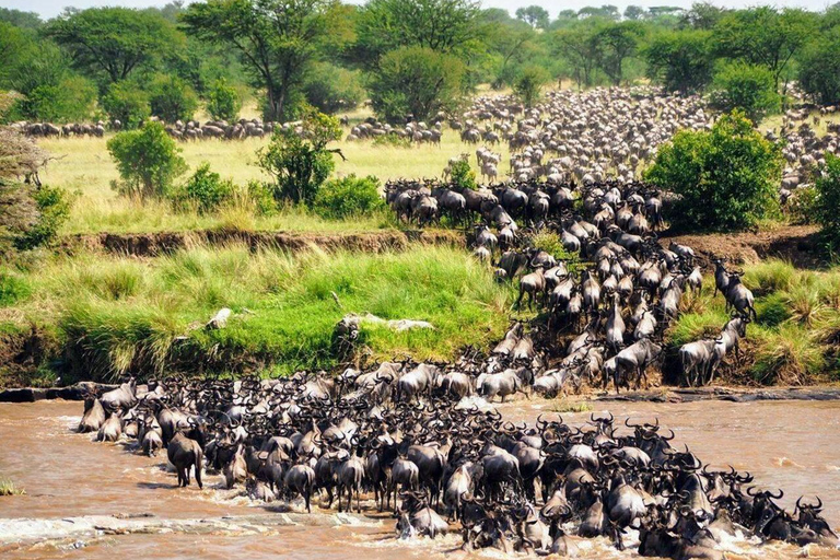 Nairobi: Safari economico di 2 giorni nel Masai Mara con visita ai villaggi