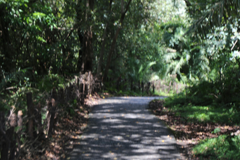 Excursão de um dia às Cataratas Vitória, de ambos os lados, a partir de Kasane Zim e ZâmbiaExcursão de um dia às Cataratas Vitória a partir de Kasane Zim e Zâmbia