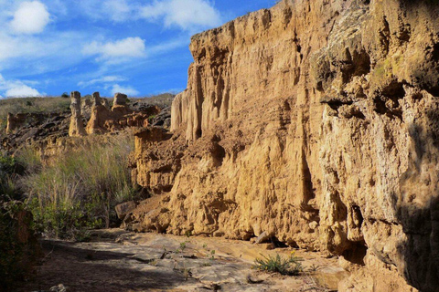 From Bogotá: Checua Desert and Nemocón Salt Mine - Private Tour