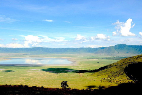 4-Day Tanzania Safari: Tarangire, Ngorongoro With Pickup